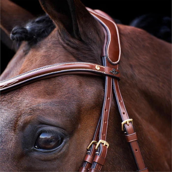 2023 HV Polo Legacy Bridle 1201093500 - Brown Colour Brown 2 2023 HV Polo Legacy Bridle 1201093500 - Brown Colour Brown - Image 2