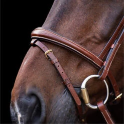 2023 HV Polo Legacy Bridle 1201093500 - Brown Colour Brown 7 2023 HV Polo Legacy Bridle 1201093500 - Brown Colour Brown -Ariat Shop 6921 202320HV20Polo20Legacy20Bridle20120109350020 20Brown204.700x700