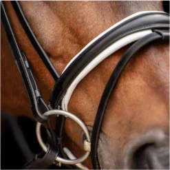 2023 HV Polo Legacy Deluxe Bridle 1201093501 - Black / White Colour Black/White -Ariat Shop 6924 202320HV20Polo20Legacy20Deluxe20Bridle20120109350120 20Black20White20A3.700x700