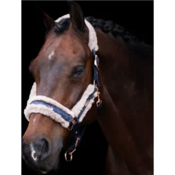 2023 HV Polo Welmoed Shine Headcollar 1601093452 - Navy Colour Navy -Ariat Shop 6943 4479fbad1324eab923fa7919ef64bb06ef5a2bbd 1601093452 5001 mfront.700x700