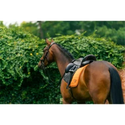 2023 HV Polo Dorian Dressage Saddle Pad 802093510 - Ginger Colour Ginger -Ariat Shop 6948 LA 04209.700x700