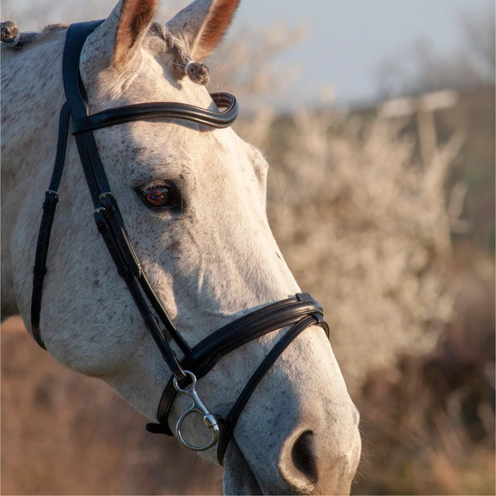 2023 Henry James Saddlery Comfort Flash Bridle HJ-BR-02 - Black Colour Black 3 2023 Henry James Saddlery Comfort Flash Bridle HJ-BR-02 - Black Colour Black - Image 3