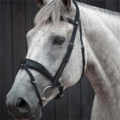 2023 Henry James Saddlery Dressage Bridle HJ-BR-03 - Black Colour Black -Ariat Shop 6998 202320Henry20James20Saddlery20Dressage20Bridle20HJ BR 0320 20Black203.700x700