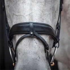 2023 Henry James Saddlery Dressage Bridle HJ-BR-03 - Black Colour Black -Ariat Shop 6998 202320Henry20James20Saddlery20Dressage20Bridle20HJ BR 0320 20Black204.700x700