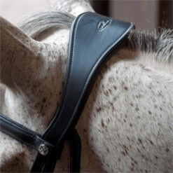 2023 Henry James Saddlery Dressage Bridle HJ-BR-03 - Black Colour Black -Ariat Shop 6998 202320Henry20James20Saddlery20Dressage20Bridle20HJ BR 0320 20Black205.700x700