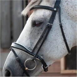 2023 Henry James Saddlery Patent Dressage Bridle With White Padding HJ-BR-07 - Black -Ariat Shop 7005 202320Henry20James20Saddlery20Patent20Dressage20Bridle20with20White20Padding20HJ BR 0720 20Black204.700x700