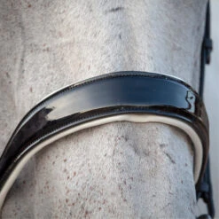 2023 Henry James Saddlery Patent Dressage Bridle With White Padding HJ-BR-07 - Black -Ariat Shop 7005 202320Henry20James20Saddlery20Patent20Dressage20Bridle20with20White20Padding20HJ BR 0720 20Black205.700x700