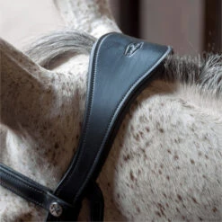 2023 Henry James Saddlery Patent Dressage Bridle With White Padding HJ-BR-07 - Black -Ariat Shop 7005 202320Henry20James20Saddlery20Patent20Dressage20Bridle20with20White20Padding20HJ BR 0720 20Black206.700x700