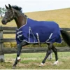 2022 Weatherbeeta Comfitec Essential Medium Standard Neck Turnout Rug - Navy / Silver / Red
