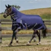 2022 Weatherbeeta Comfitec Essential Heavy Combo Neck Turnout Rug - Navy / Silver