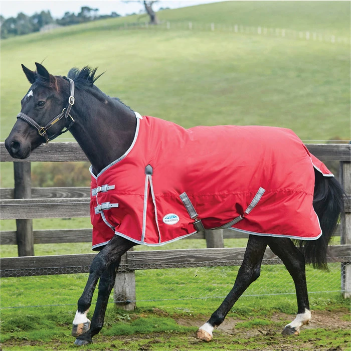 2022 Weatherbeeta Comfitec Classic Lite Standard Neck Turnout Rug - Red / Silver 1 2022 Weatherbeeta Comfitec Classic Lite Standard Neck Turnout Rug - Red / Silver