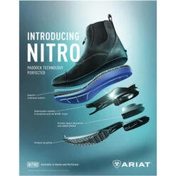 Ariat Womens Devon Nitro Zip Paddock Boots Wax Chocolate -Ariat Shop Ariat Womens Devon Nitro Zip Paddock Boots Wax Chocolate Tech.700x700