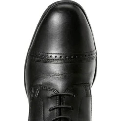 Ariat Womens Capriole Long Riding Boots Black -Ariat Shop Ariat20Womens20Capriole20Long20Riding20Boots20Black20Toe.700x700