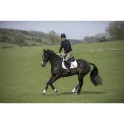 Charles Owen Pro II Plus Round Fit Skull Helmet Black -Ariat Shop CHARLES OWEN HARRY MEADE HOME 15742.700x700