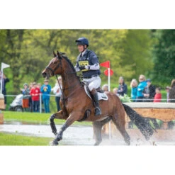 Charles Owen 4 Star Jockey Skull Navy -Ariat Shop CHATSWORTH HT 1891.700x700