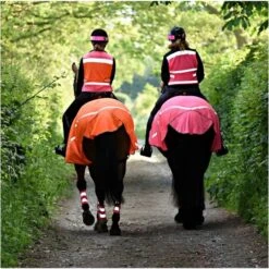 Equisafety Charlotte Dujardin Mesh Quarter Rug Pink C-P-MESH Colour Pink