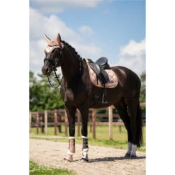 2023 Imperial Riding Lovely General Purpose Saddle Pad ZT73122000 - Rosy Colour Rosy -Ariat Shop DSC02970.700x700