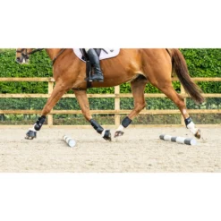 Woof Wear Pro Tendon Boots Black -Ariat Shop DSC2512.700x700