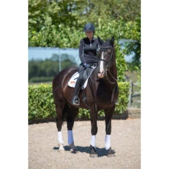 Equilibrium Stretch & Flex Flatwork Wraps White -Ariat Shop Fergus20SF20Lifestyle1.700x700