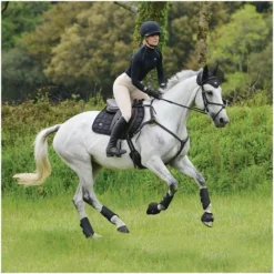 2021 Woof Wear IVent Overreach Boot WB0071 - Brushed Steel Colour Brushed Steel -Ariat Shop PiLa5nWM.700x700 1