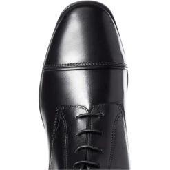 Ariat Womens Palisade Riding Boots Black 10036042 -Ariat Shop S21 WMS ENGL 10036042 INTL toe.700x700