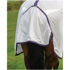 Weatherbeeta Comfitec Essential Mesh Combo Neck Fly Rug White / Purple 14 Weatherbeeta Comfitec Essential Mesh Combo Neck Fly Rug White / Purple -Ariat Shop Weatherbeeta Comfitec Essential Mesh Combo Neck White 6.700x700