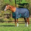 Weatherbeeta Comfitec Classic Medium Standard Neck Rug - Black / Green