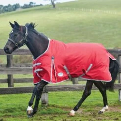 2022 Weatherbeeta Comfitec Classic Medium-Lite Standard Neck Turnout Rug - Red / Silver