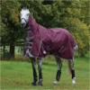 Weatherbeeta Comfitec Plus Dynamic II Lite Combo Neck Rug - Maroon / Grey