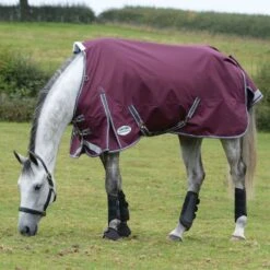 2022 Weatherbeeta Comfitec Plus Dynamic II Medium-Lite Standard Neck Turnout Rug - Maroon / Grey