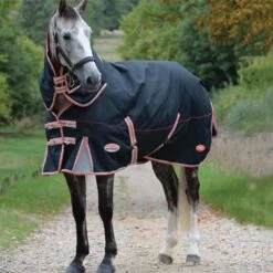 2022 Weatherbeeta Comfitec Premier & Therapy-Tec Medium Detach-A-Neck Turnout Rug - Black / Red