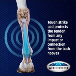 Weatherbeeta Cross Country Boots Front - Black -Ariat Shop Weatherbeeta20Cross20Country20Boots20Front20 20Black20graphi.700x700 1