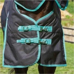 Weatherbeeta Green-Tec 900D Lite Plus Detach-A-Neck Rug - Black / Bottle Green -Ariat Shop Weatherbeeta20Green Tec20900D20Deatch A Neck20Lite20Plus20 20Black20Bottle20Green205.700x700 1