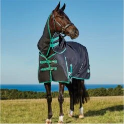 Weatherbeeta Green-Tec 900D Detatch-A-Neck Medium - Black / Bottle Green -Ariat Shop Weatherbeeta20Green Tec20900D20Deatch A Neck20Lite20Plus20 20Black20Bottle20Green208.700x700