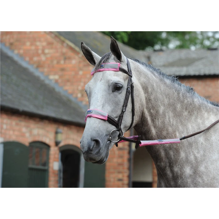 Weatherbeeta Reflective Bridle Kit 4 Piece Pink 1006587 Colour Pink 1 Weatherbeeta Reflective Bridle Kit 4 Piece Pink 1006587 Colour Pink