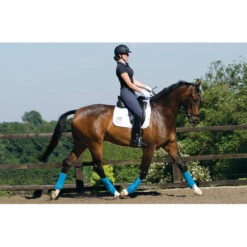 Woof Wear Training Wraps Berry -Ariat Shop Woof Wear Dressage Wraps Action.700x700 2