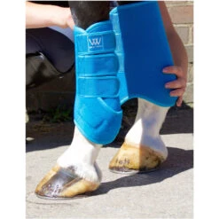 Ariat Shop -Ariat Shop Woof Wear Dressage Wraps Fitting 1.700x700