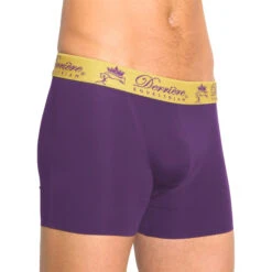Derriere Equestrian Mens Bonded Padded Shorty Purple