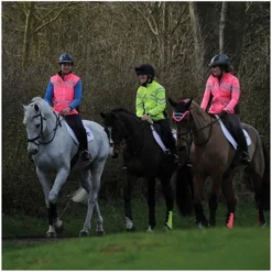 2022 Weatherbeeta Unisex Reflective Lightweight Waterproof Jacket 1005267 - Hi Vis Yellow Colour Hi Vis Yellow -Ariat Shop weatherbeeta reflective lightweight waterproof jacket hi vis yellow 5B35D 71810 p.700x700 1